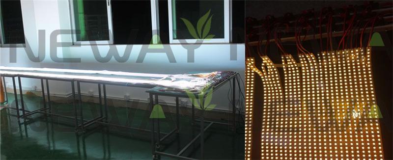 3528 240 LEDs/M LED Ribbon Quality Inspection