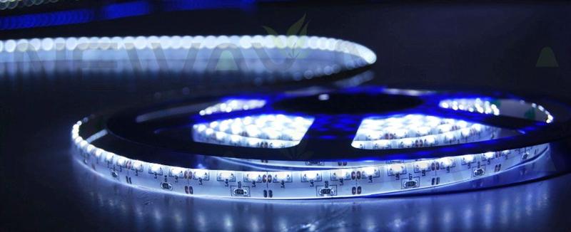 335 60 LEDs/M LED Strip Light Pictures
