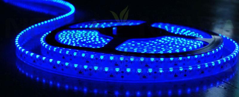 335 120 LEDs/M LED Lighting Strip Pictures
