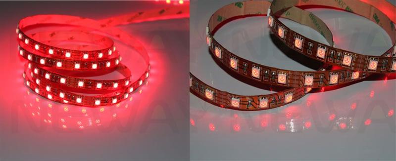 5050 30 LEDs/M LED Flex Strip Pictures