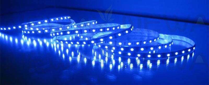 5050 60 LEDs/M LED Strip Light Pictures