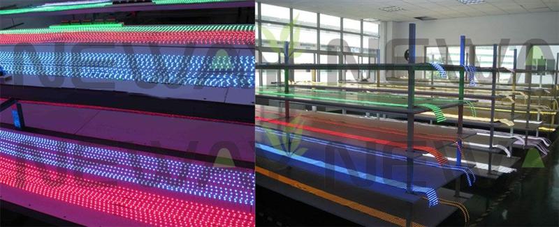 5050 120 LEDs/M RGB LED Strip Quality Inspection 