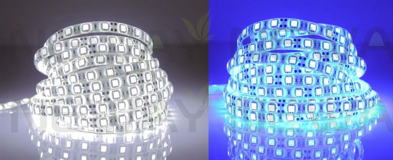 60LED/M Flexible 5050 SMD LED Strip Kit Lighting Pictures