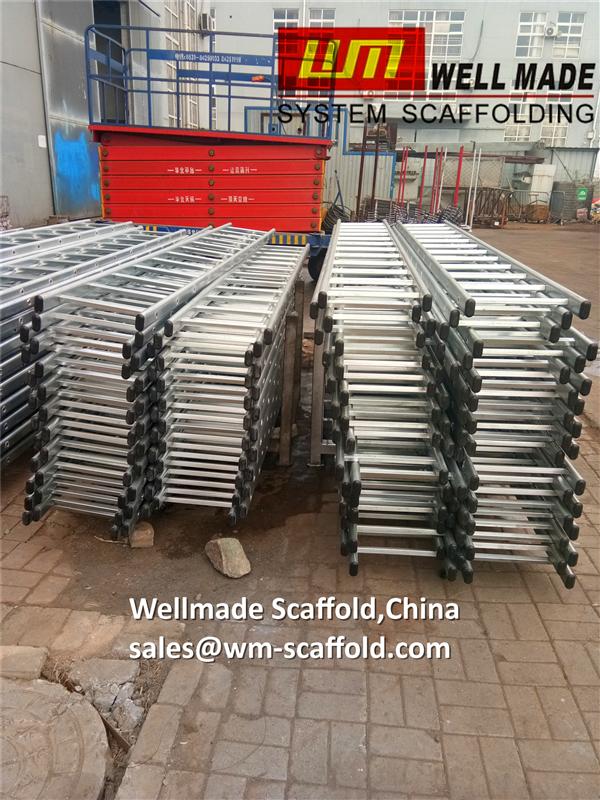 GI scaffolding ladders for construction access scaffold system--ISO&CE Wellmade scaffold
